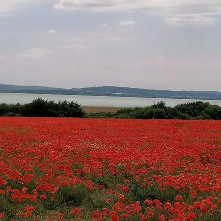 Aszofoi Panorama Apartmanhaz アパート Aszófő